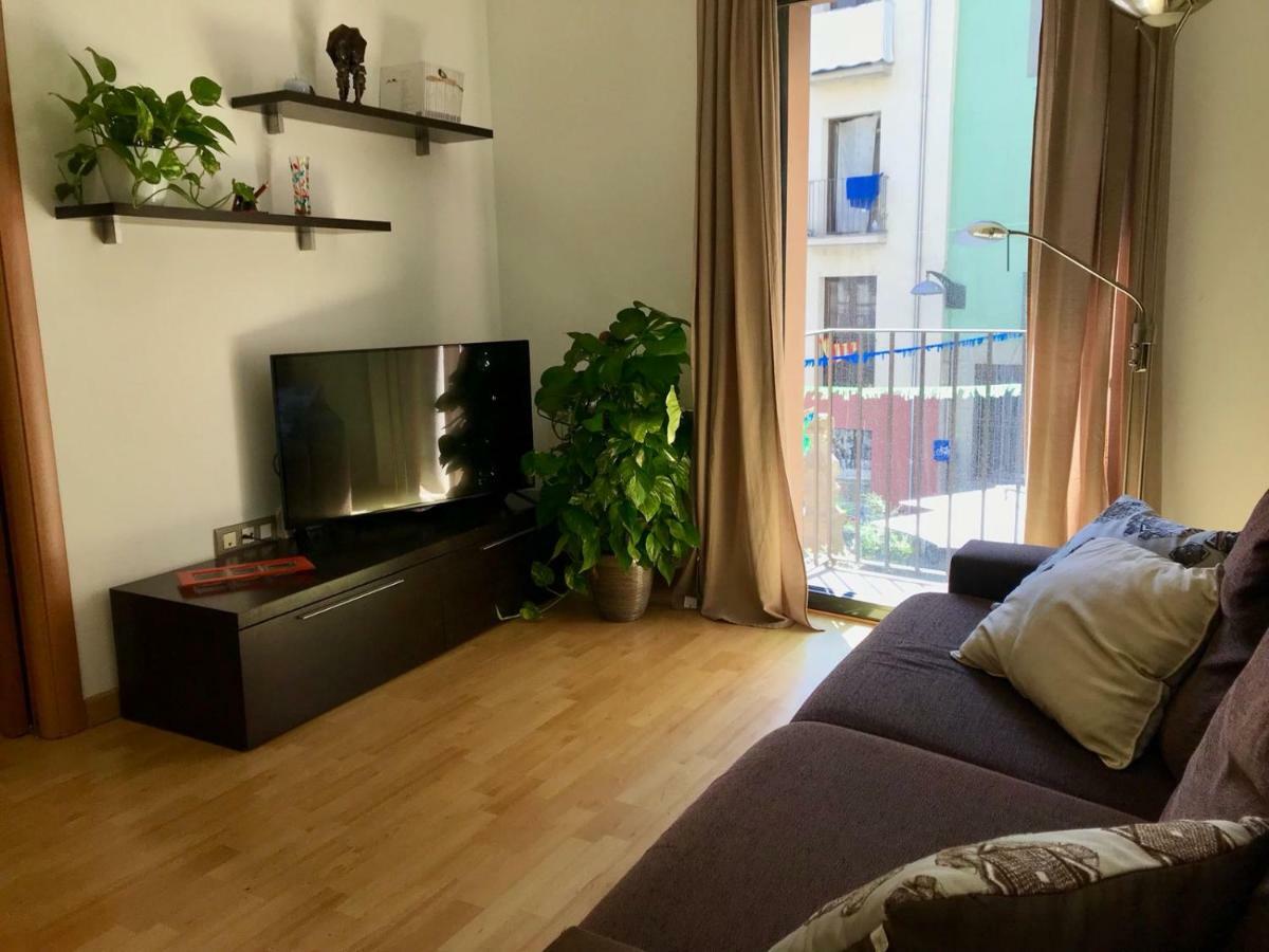 Apartament Centre Historic A Olot Apartment Luaran gambar